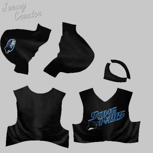 Name:  jerseys_tampa_bay_stingrays_alt.png
Views: 286
Size:  80.7 KB