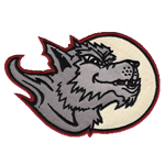 Name:  erie_seawolves_1999-2000.png
Views: 1604
Size:  49.2 KB