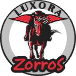 Name:  Luxora Zorros logoXXX.png
Views: 172
Size:  39.6 KB