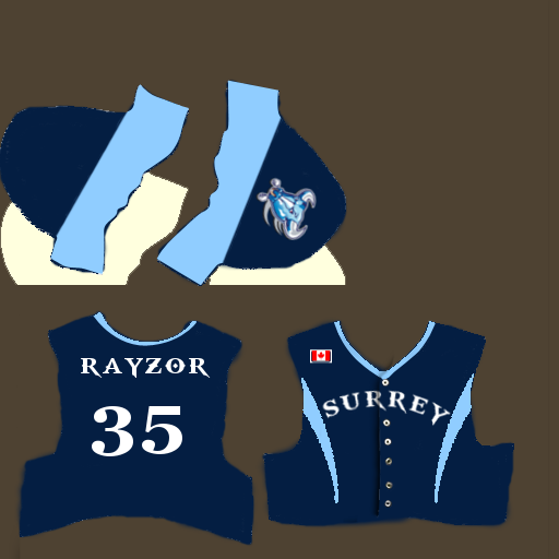 Name:  jerseys_Surrey_Blue_Bulls_away.png
Views: 560
Size:  60.3 KB