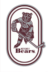 Name:  Hershey_Bears.png
Views: 1347
Size:  24.0 KB