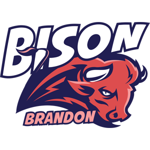 Name:  brandon_bison.png
Views: 1274
Size:  52.8 KB