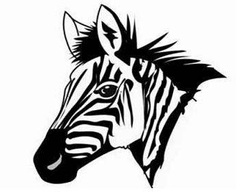 Name:  windhoek zebras.png
Views: 797
Size:  59.2 KB