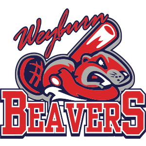 Name:  Weyburn_Beavers_1e1d47_d9262a.png
Views: 886
Size:  71.3 KB