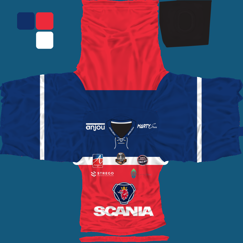 Name:  jersey_angers_ducs.png
Views: 2000
Size:  389.3 KB