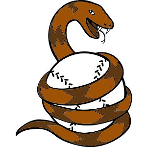 Name:  Asheboro_Copperheads_small.png
Views: 816
Size:  40.6 KB