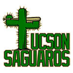 Name:  tucson_saguaros_007401_000000.png
Views: 880
Size:  31.6 KB