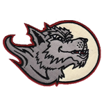 Name:  erie_seawolves_1999-2000.png
Views: 1606
Size:  49.2 KB