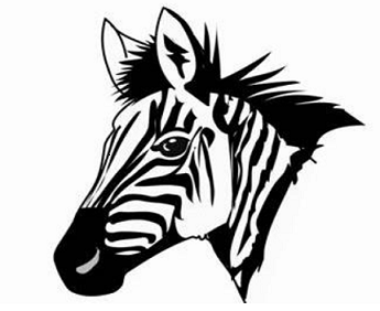 Name:  windhoek zebras.png
Views: 806
Size:  59.2 KB