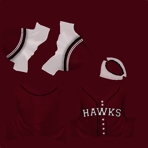 Name:  jersey_g_hawks.png
Views: 139
Size:  81.2 KB