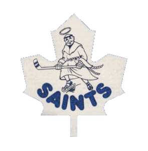 Name:  st__catharines_saints.png
Views: 825
Size:  58.9 KB