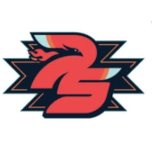 Name:  Palm_Springs_Firebirds_300_Alt.png
Views: 601
Size:  45.3 KB