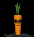 sfgiants88's Avatar