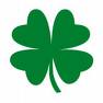 Irishray's Avatar