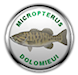 micropterus58's Avatar