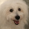 KBLover's Avatar